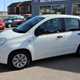 Fiat Panda (12-24) 1.2 Pop 5d For Sale - Ian Shammon Ltd, Lincoln