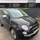 Fiat 500 Hatchback (08-24) 1.2 Cult 3d For Sale - Kestrels Motor Company, Halstead