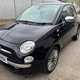 Fiat 500 Hatchback (08-24) 1.2 Cult 3d For Sale - Kestrels Motor Company, Halstead