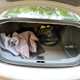 BMW 3-Series Saloon (05-11) 320d M Sport 4d Auto For Sale - K and A Cars Ltd, Egham