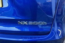 Lexus NX (14-21) 300h F-Sport auto (11/2017 on) 5d For Sale - CSG Motor Company Ltd, Chalfont St Giles