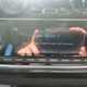 Volkswagen Up (12-23) Move Up 1.0 60PS 3d For Sale - Adam Bede Motor Company, Matlock