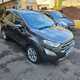 Ford EcoSport (14 on) Titanium 1.0 EcoBoost 125PS (10/2017 on) 5d For Sale - Lechlade Motor Company, Lechlade