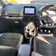 Ford EcoSport (14 on) ST-Line 1.0 EcoBoost 140PS (10/2017 on) 5d For Sale - Digbeth Motor Sales Ltd, Birmingham