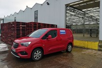 Vauxhall Combo Cargo long-term test review - collecting flowers