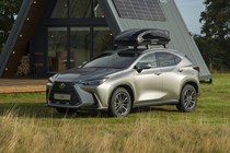 Silver Lexus NX in field with roof box