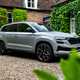 Best family SUVS 2024 - Skoda Karoq, front, grey