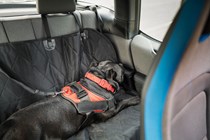 Staffordshire Bull Terrier lying down on a covered car seat