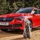 Best cars for dog owners 2024