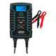 Ring Automotive Battery Charger