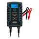 Ring Automotive Car Battery Charger