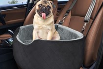 Small front dog seat
