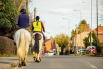 Image of a pair of horses with riders walking along a road