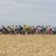 Image of a large cycling club peloton passing by the camera