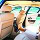 WCPGW: The Maserati Quattroporte, interior, rear seats, cream, doors open