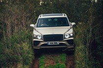 Bentley Bentayga (2020) - dead-on front view, silver, driving off road down grassy, deeply rutted green lane