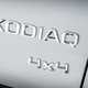 Kodiaq rear badge