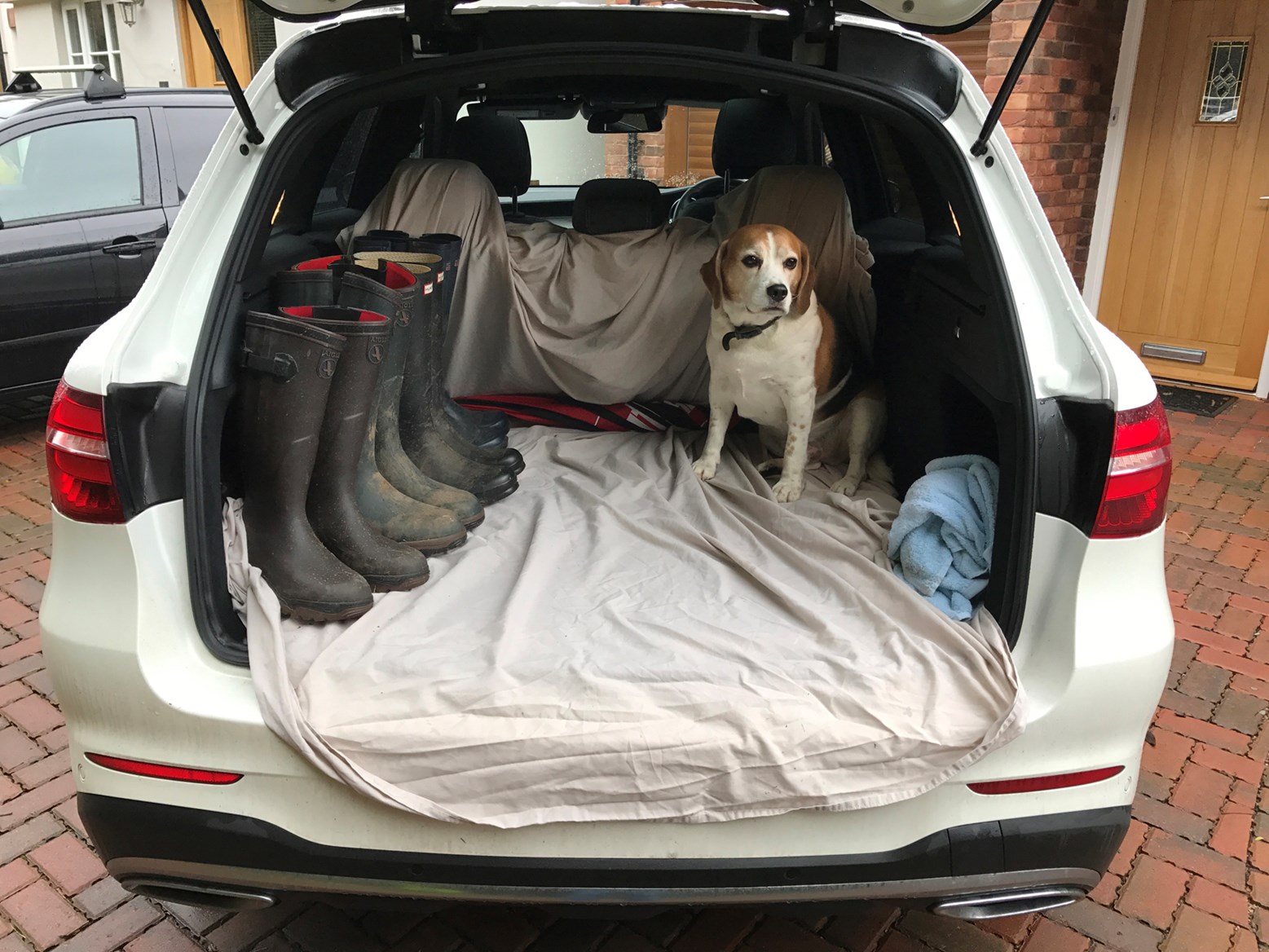MercedesBenz GLC does it pass the dog test? Parkers