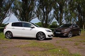 Peugeot 308 - petrol or diesel?