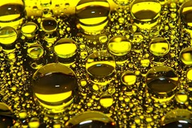 Can you run your car on cooking oil?