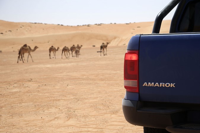VW Amarok V6 TDI 258hp review - badge with camels