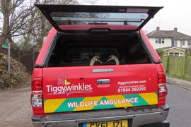 The Tiggywinkles Hilux