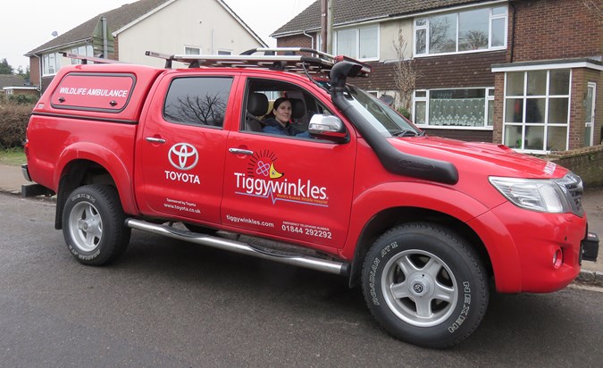 The Tiggywinkles Hilux