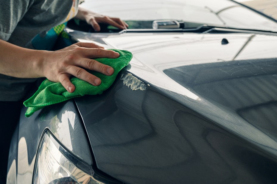 8 Tips to Clean Bird Poop Off Car Paint