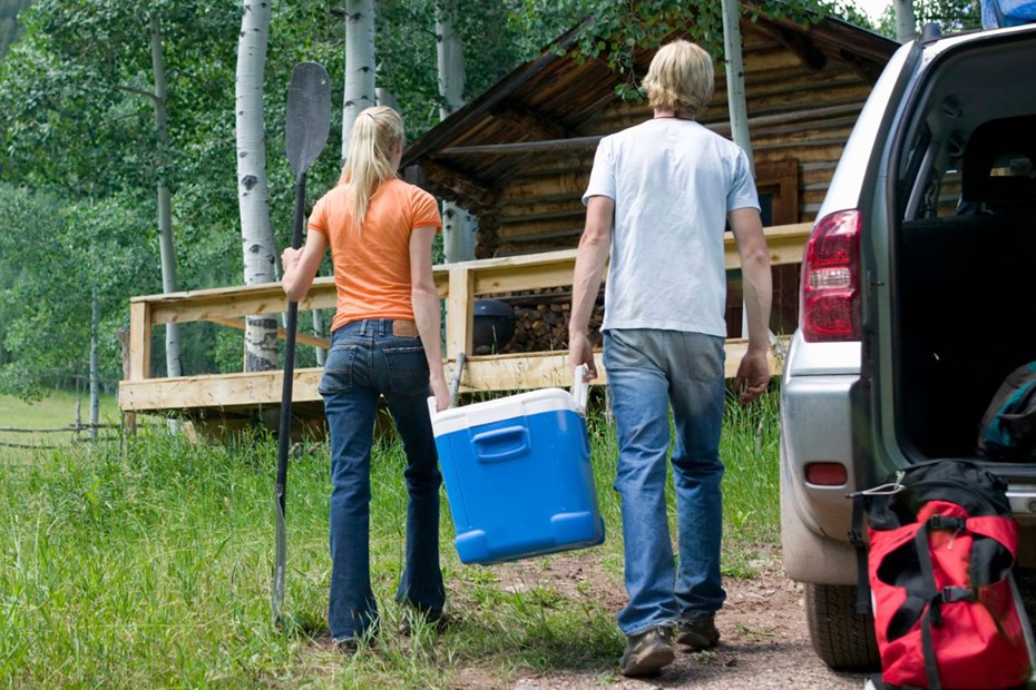 Car cooler box