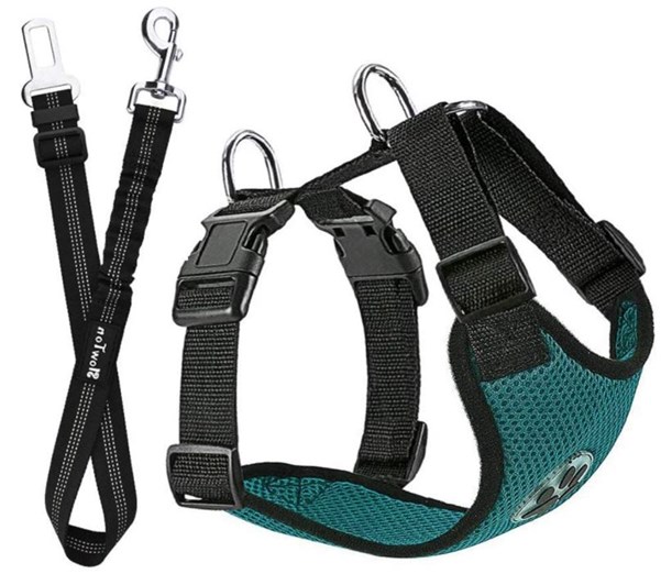best dog car harness