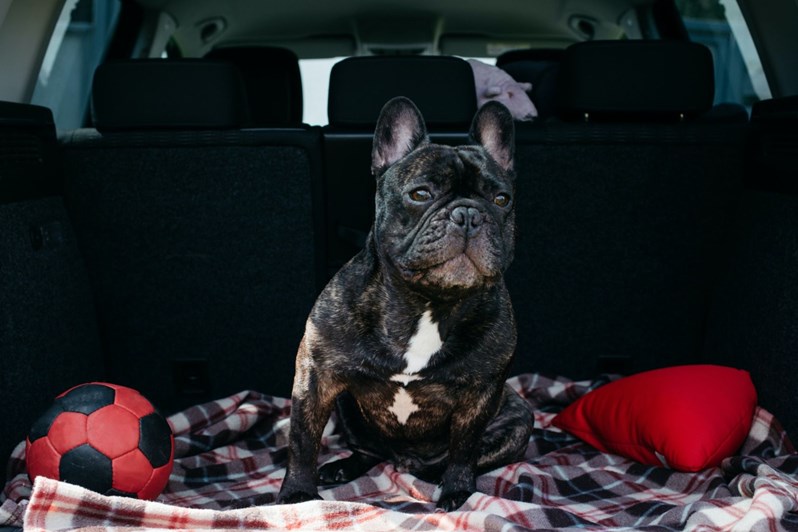 The best car blankets to keep you warm if you break down Parkers
