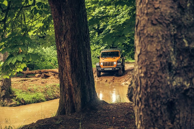 Jeep Wrangler in a forest