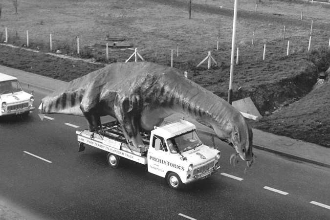 Ford Transit transports a dinosaur