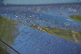 Water beads on a BMW bonnet after ceramic coating