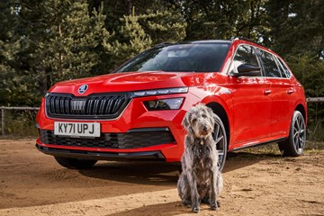 Best cars for dog owners 2023