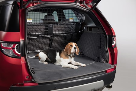 Best Cars For Dog Owners 2022 Parkers - Best Back Seat Dog Cover Uk