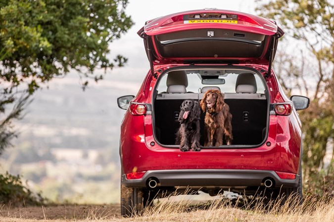 The best cars for dog owners 2021