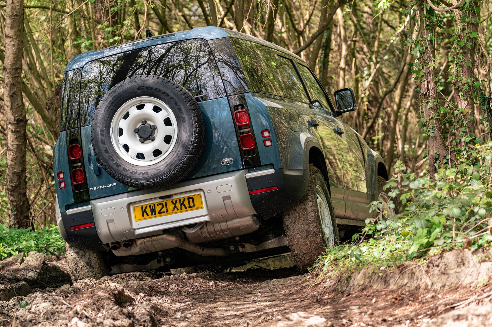 Land Rover Defender Hard Top review - commercial 4x4 - 110, rear view, off-roading