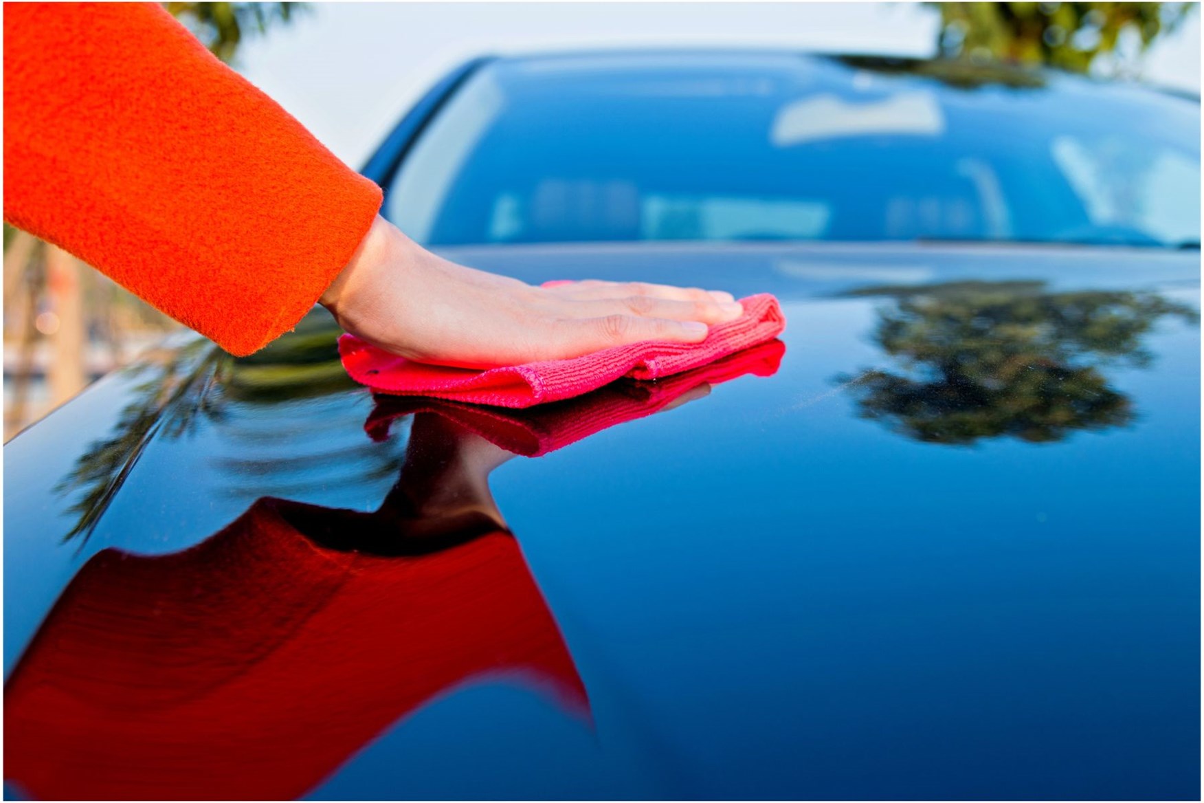 The best car tree sap removers