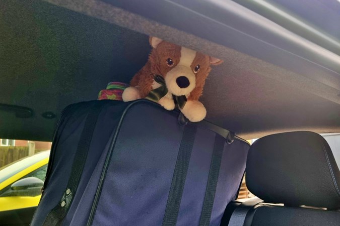Renault Scenic long termer hiding dog