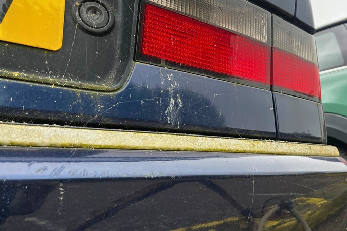 A car that's been sat idle for a while can become ideal ground for mould.