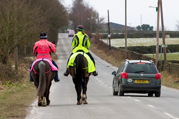 Driving near horses